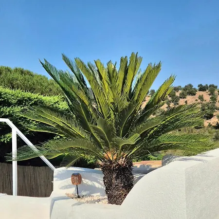 Villa La Bohem'azur Golfe St Tropez 170m2 5 Piscine Magnifique Vue Degagee Deco Boheme Chic *
